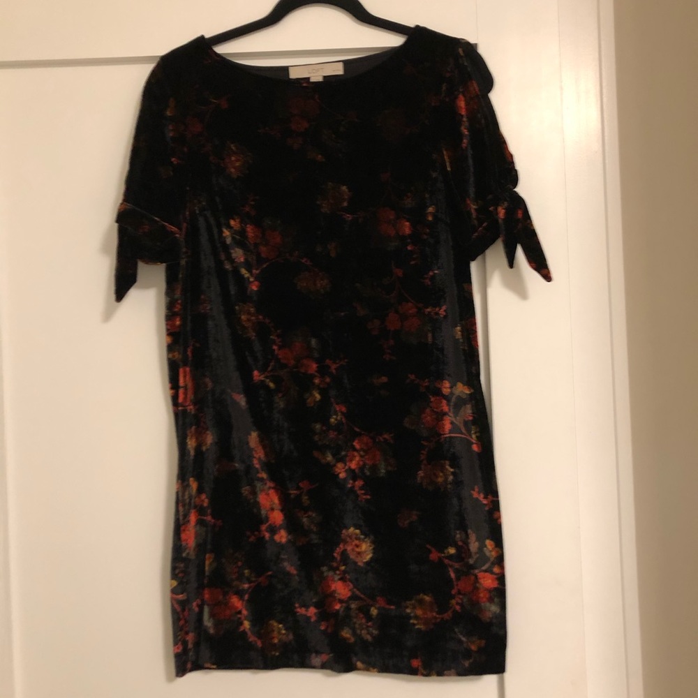 Loft velvet floral dress